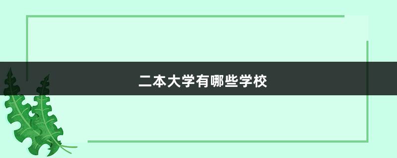 二本大学有哪些学校（二本大学有哪些学校及分数线）