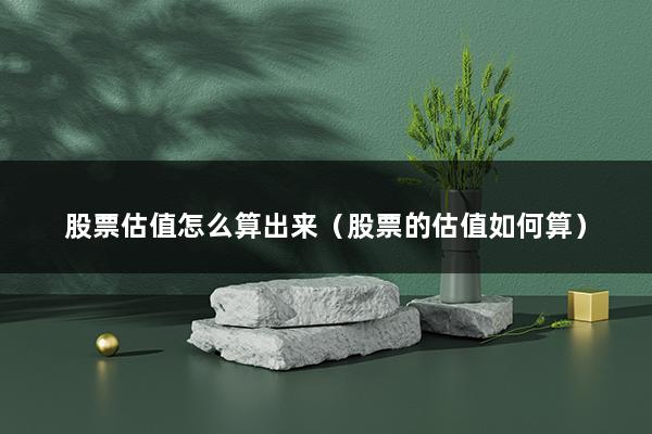 股票估值怎么算出来（股票如何估值）