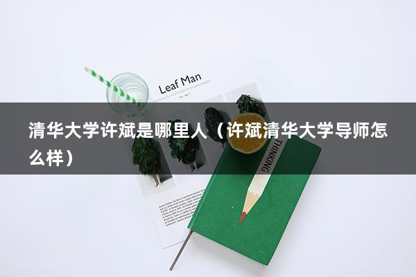 清华大学许斌是哪里人（许斌清华大学导师怎么样）