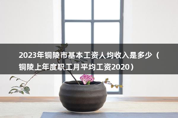 2023年铜陵市基本工资人均收入是多少（铜陵上年度职工月平均工资2023）