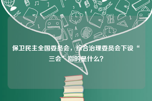 保卫民主全国委员会，综合治理委员会下设“三会”指的是什么？