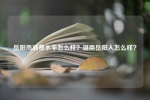 岳阳市消费水平怎么样？湖南岳阳人怎么样？