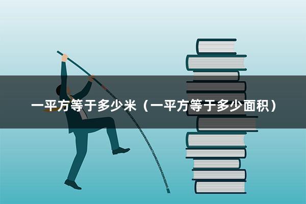 一平方等于多少米（一平方等于多少面积）