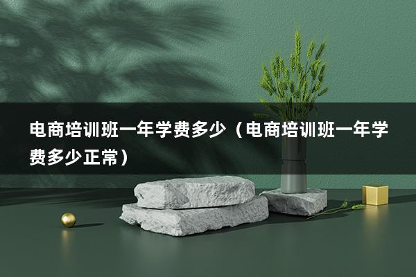 电商培训班一年学费多少（电商培训班一年学费多少正常）