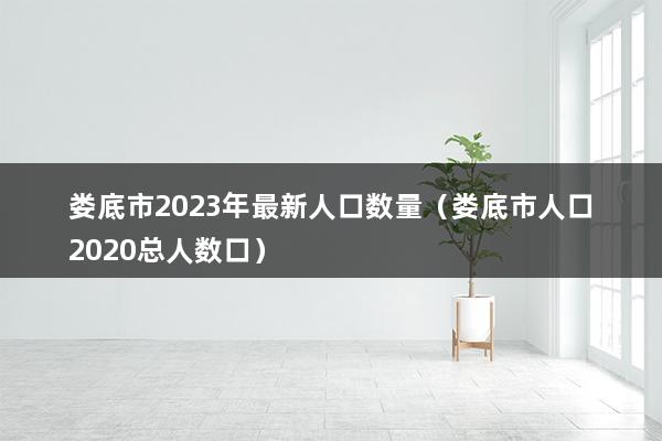 娄底市2023年最新人口数量（娄底市人口2023总人数口）