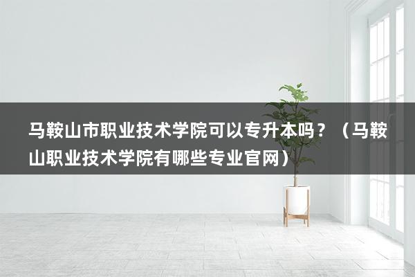 马鞍山市职业技术学院可以专升本吗？（马鞍山职业技术学院有哪些专业官网）