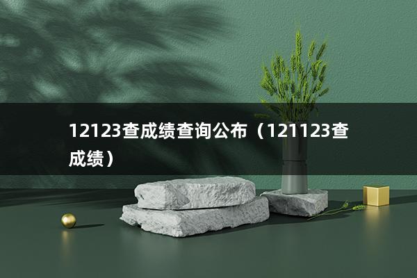 12123查成绩查询公布（121123查成绩）