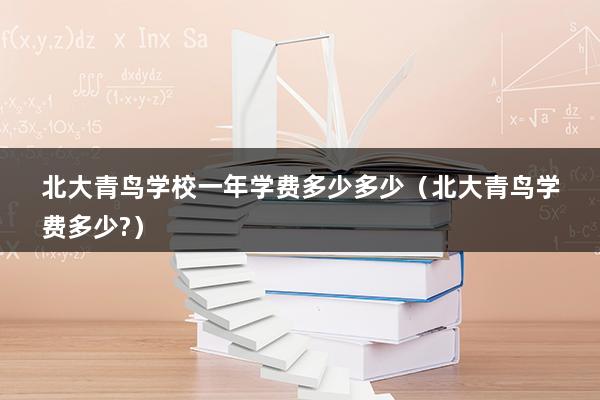 北大青鸟学校一年学费多少多少（北大青鸟学费多少-）