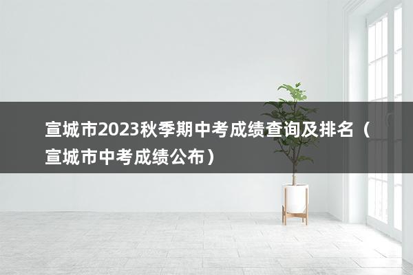 宣城市2023秋季期中考成绩查询及排名（宣城市中考成绩公布）