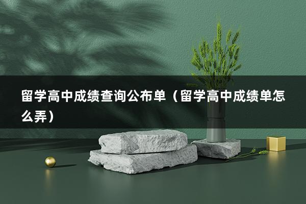 留学高中成绩查询公布单（留学高中成绩单怎么弄）