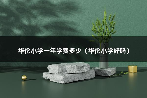 华伦小学一年学费多少（华伦小学好吗）