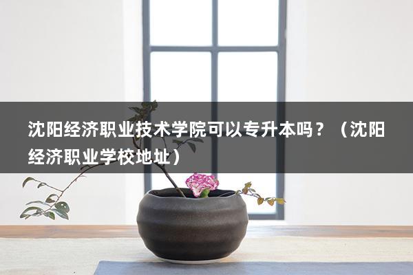 沈阳经济职业技术学院可以专升本吗？（沈阳经济职业学校地址）