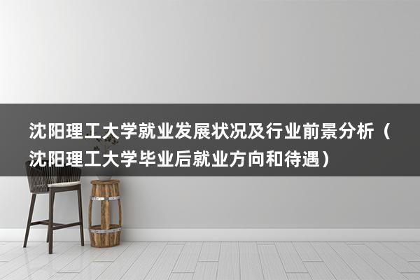 沈阳理工大学就业发展状况及行业前景分析（沈阳理工大学毕业后就业方向和待遇）