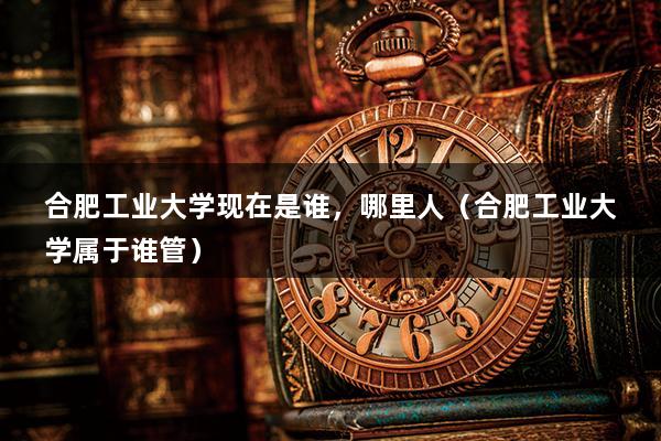 合肥工业大学现在是谁，哪里人（合肥工业大学属于谁管）