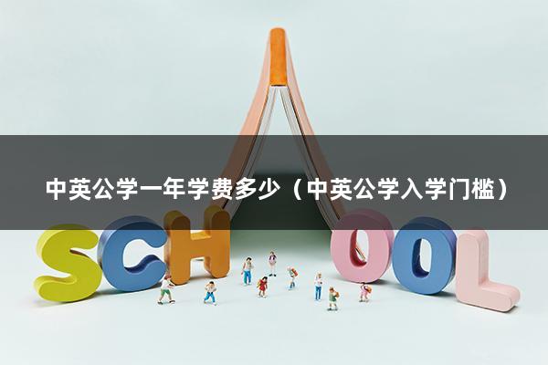 中英公学一年学费多少（中英公学入学门槛）