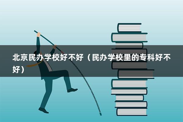 北京民办学校好不好（民办学校里的专科好不好）