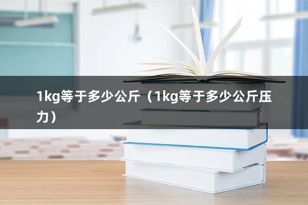 1kg等于多少公斤（1kg等于多少公斤压力）(图1)